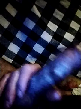 salimbasha online show from February 8, 2026, 3:15 am