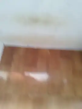 O Mascarado NK online show from March 21, 2026, 12:42 pm