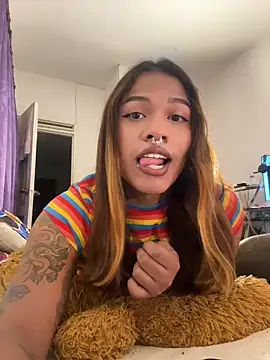 cam11 07 online show from June 7, 2026, 4:23 pm