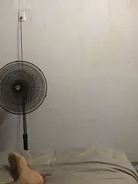 Vicporn0398 online show from March 20, 2026, 7:31 am