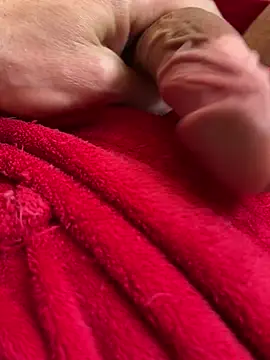 Syrocc online show from April 26, 2026, 7:38 am