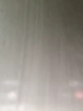 MusaAyla online show from November 22, 2025, 12:37 pm