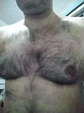 LeoMaduroSP online show from November 26, 2025, 3:50 am