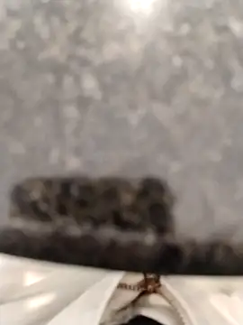 Snapshot of LeoMaduroSP chatting on September 17, 2025, 2:08 pm LeoMaduroSP online show from September 17, 2025, 2:08 pm