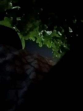 Rajopensex 955 online show from March 21, 2026, 6:23 pm