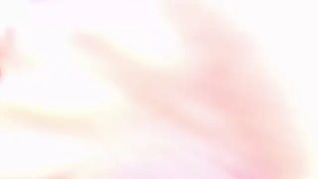 daring sexy boys online show from October 27, 2025, 7:04 pm