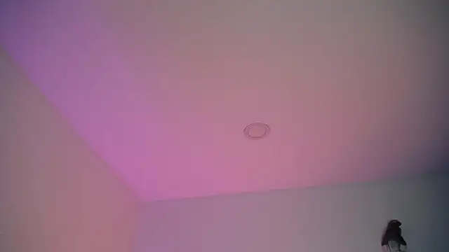 Snapshot of Stepha_babe chatting on September 8, 2025, 10:53 pm Stepha babe online show from September 8, 2025, 10:53 pm