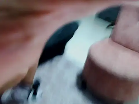 Snapshot of kata-gomez chatting on February 21, 2026, 3:41 am kata-gomez online show from February 21, 2026, 3:41 am