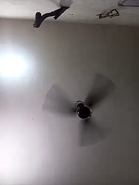 Trisha 71 online show from September 19, 2025, 6:28 am