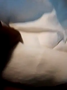 Bigdickmw online show from April 19, 2026, 4:57 am