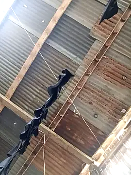 Davir2001 online show from March 14, 2026, 9:43 pm