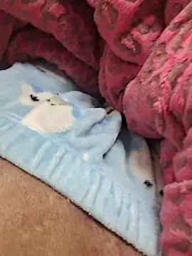 zzangzoa online show from January 17, 2026, 1:15 pm