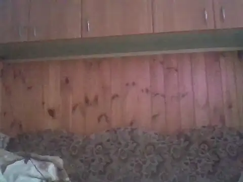 Snapshot of Maksymilian1 chatting on February 15, 2026, 2:49 pm Maksymilian1 online show from February 15, 2026, 2:49 pm