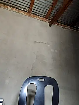 TPNUTS online show from November 20, 2025, 10:16 am