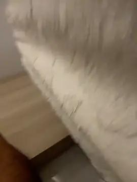 DoctorArabe3 online show from February 12, 2026, 11:10 am