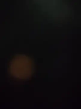 MyDick4You666 online show from January 17, 2026, 11:58 am