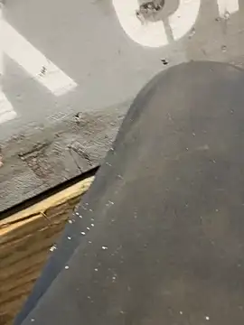 curis4270panda online show from February 16, 2026, 8:07 pm