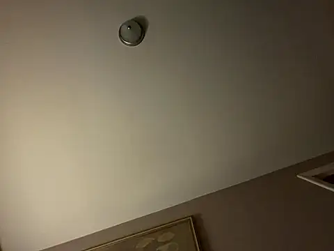 curis4270panda online show from October 19, 2025, 3:42 am