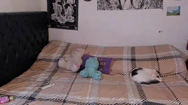 chloe kisses online show from September 25, 2025, 11:49 am