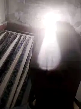 Snapshot of 13elvergon chatting on November 25, 2025, 10:04 am 13elvergon online show from November 25, 2025, 10:04 am