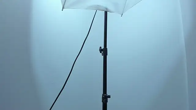 violet taylor  online show from December 17, 2025, 2:16 am