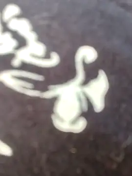 Snapshot of papukurty chatting on February 22, 2026, 12:18 pm papukurty online show from February 22, 2026, 12:18 pm