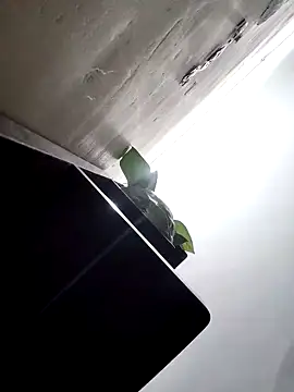 Snapshot of papukurty chatting on March 25, 2026, 1:50 am papukurty online show from March 25, 2026, 1:50 am