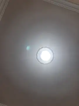 777emre online show from April 17, 2026, 2:36 am