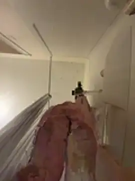 babykalirose online show from March 19, 2026, 1:05 am