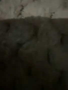 Snapshot of anonimgirl18old chatting on February 9, 2026, 6:50 pm anonimgirl18old online show from February 9, 2026, 6:50 pm