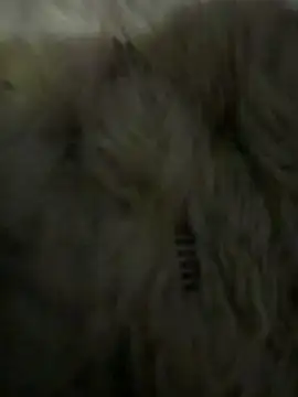 anonimgirl18old online show from March 6, 2026, 5:08 pm