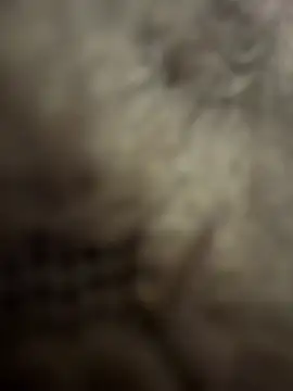 Snapshot of anonimgirl18old chatting on February 3, 2026, 8:58 pm anonimgirl18old online show from February 3, 2026, 8:58 pm