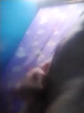 Karalxxx online show from October 25, 2025, 9:37 pm