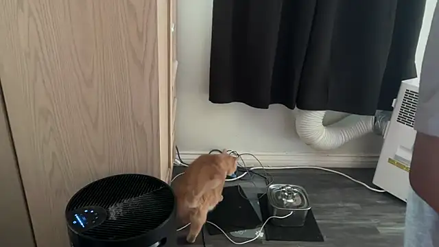 kSwisssxxx online show from November 6, 2025, 10:47 pm