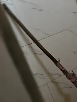 pussy hunter0 online show from May 15, 2026, 12:41 am