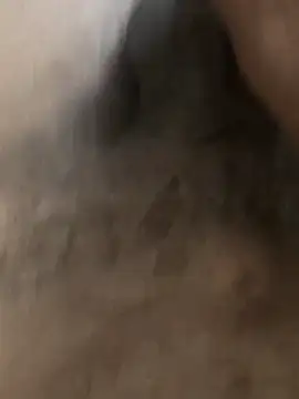 delhi gigolo 5in online show from February 12, 2026, 3:50 am