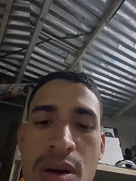 Snapshot of ikaro21 chatting on February 5, 2026, 3:46 am ikaro21 online show from February 5, 2026, 3:46 am