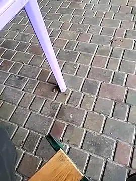 Snapshot of Odecca11 chatting on November 23, 2025, 8:24 am Odecca11 online show from November 23, 2025, 8:24 am