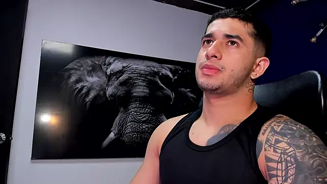 king falconer online show from December 16, 2025, 12:48 am