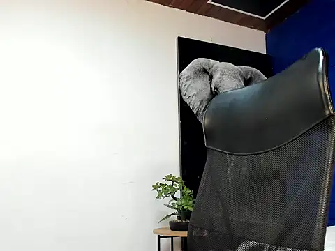 king falconer online show from November 5, 2025, 6:05 am