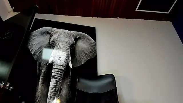 king falconer online show from November 2, 2025, 12:37 am