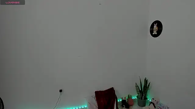 star shooting8 online show from May 19, 2026, 8:27 pm