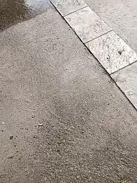 jvdzj-0  online show from October 19, 2025, 3:37 pm