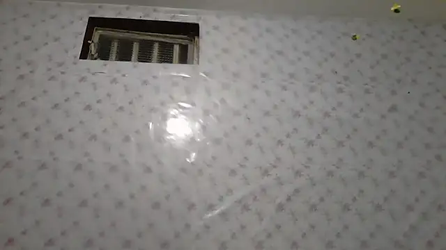 Snapshot of Roselingalvis13 chatting on March 3, 2026, 2:51 am Roselingalvis13 online show from March 3, 2026, 2:51 am