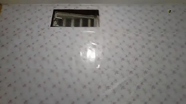 Snapshot of Roselingalvis13 chatting on February 3, 2026, 2:53 am Roselingalvis13 online show from February 3, 2026, 2:53 am