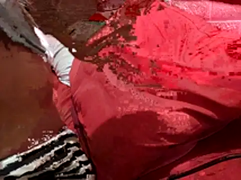 Snapshot of Kellye_hotTs chatting on February 4, 2026, 2:17 am Kellye hotTs online show from February 4, 2026, 2:17 am