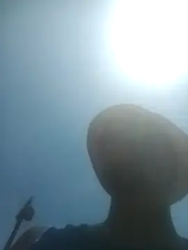 KingBonga online show from February 10, 2026, 10:47 am