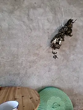 yoowwmr online show from November 23, 2025, 12:53 am