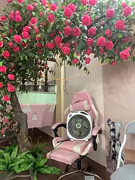 Bollozzy 89 online show from October 6, 2025, 4:13 am