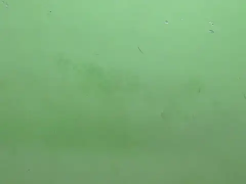 rockyy23boy online show from October 15, 2025, 10:23 am